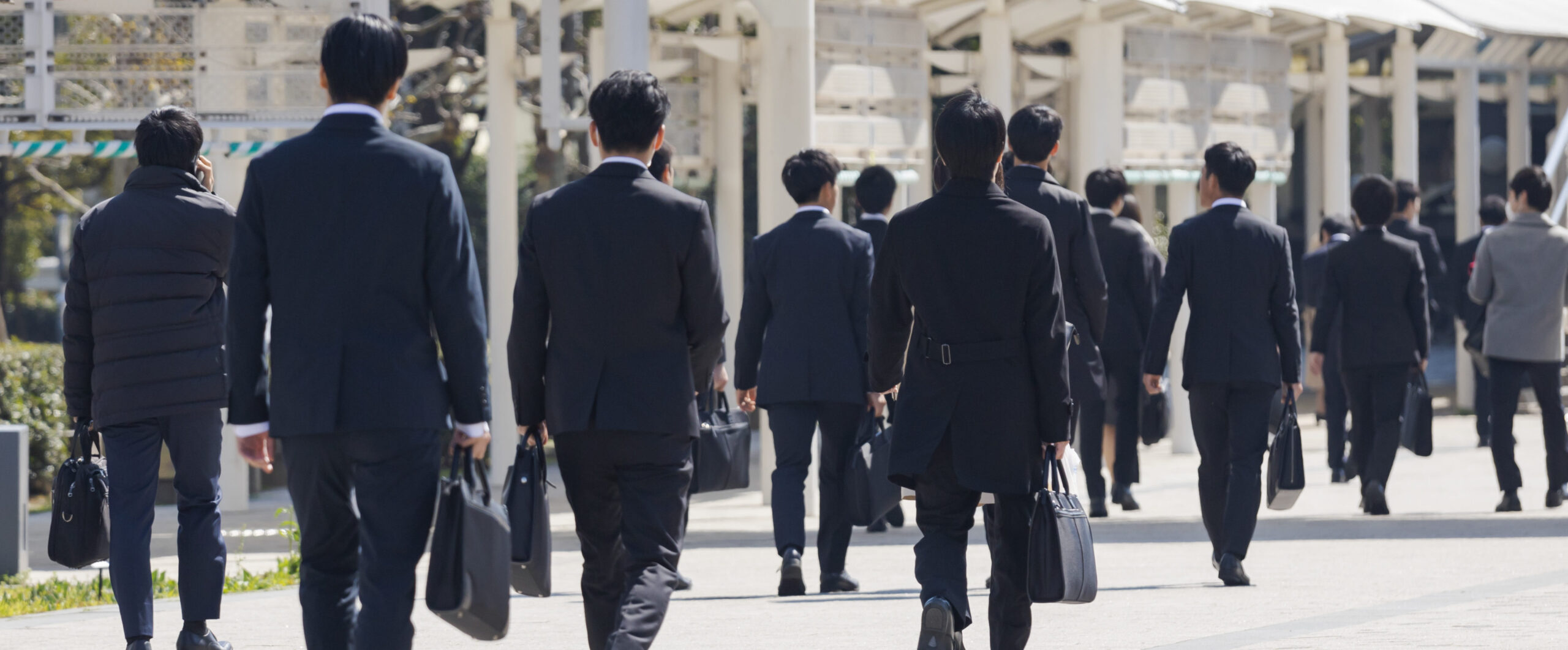 就職活動4つのステップ